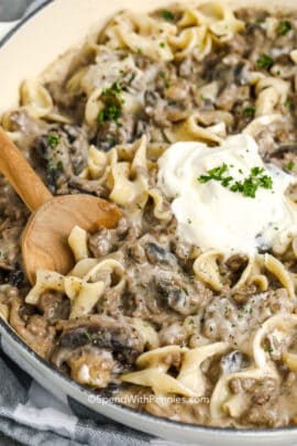 Mushroom stroganoff being served
