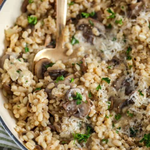 Spoonful of Mushroom Barley Risotto in a pot