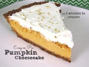 Pumpkin Cheesecake with topping on a white plate