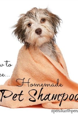 a dog wrapped in a towel