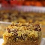 Pumpkin Pie Crunch! This delicious dish is the easiest way to serve pumpkin pie to a crowd! A layer of rich pumpkin pie filling with a crunchy pecan streusel topping!