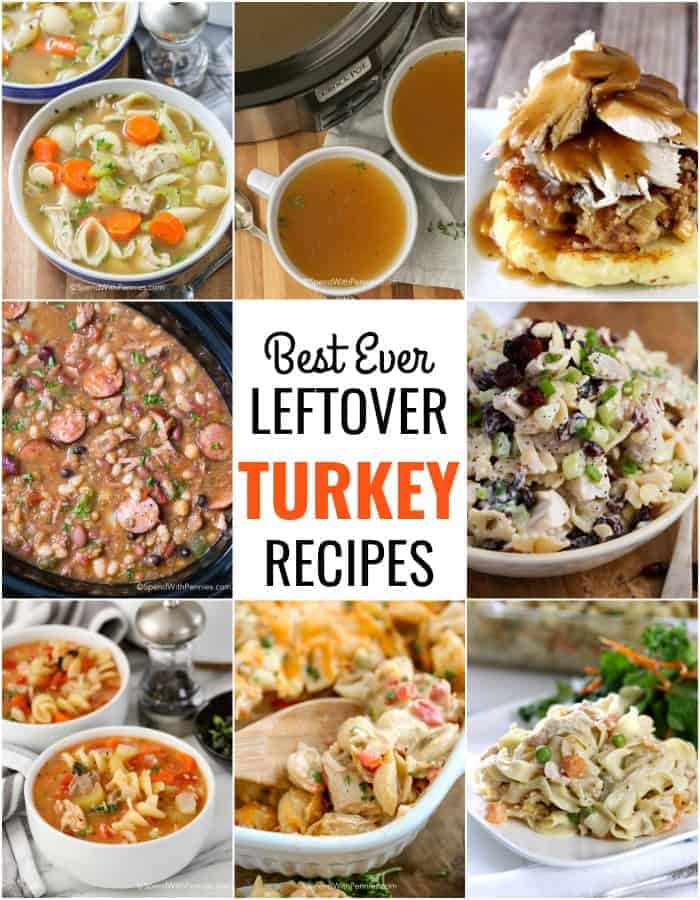 Leftover Turkey Recipes - 6
