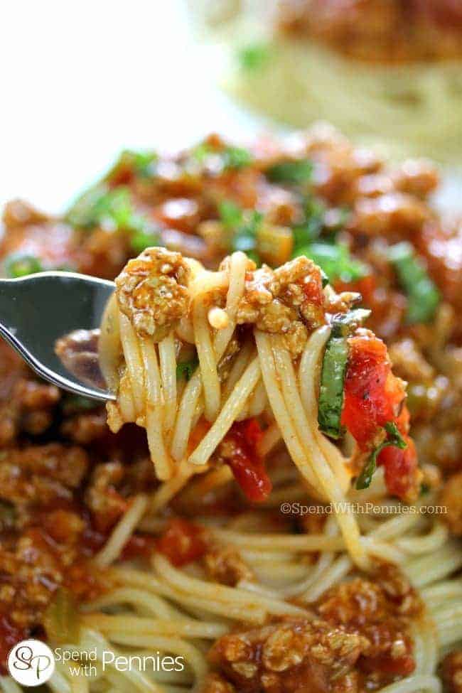 closeup of Homemade Pasta Sauce with spaghetti on a fork