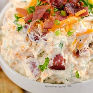 Bacon Cheddar Dip in a bowl with bacon and cheese on top