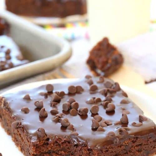 Chocolate chip chocolate sheet cake