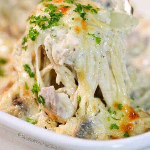 Turkey Tetrazzini Spend With Pennies