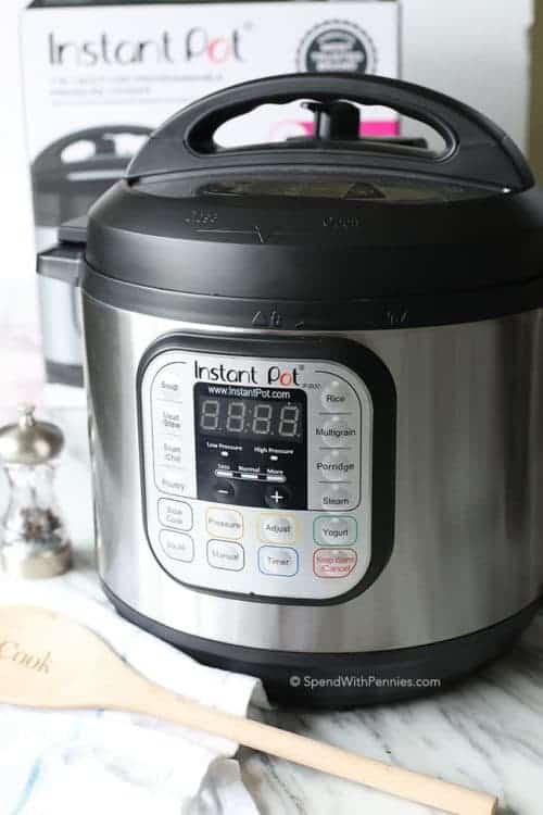 What is The Instant Pot Spend With Pennies