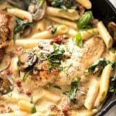 chicken tomato pasta in dish