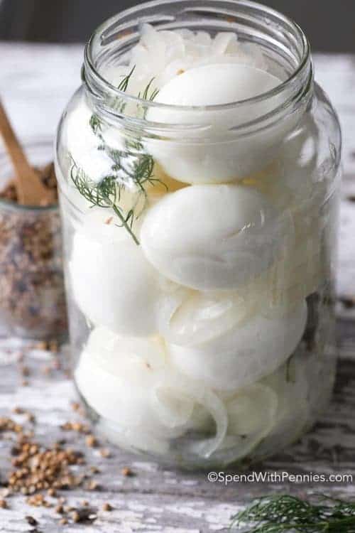 Easy Pickled Eggs (No Canning Required) Spend With Pennies