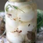 Pickled Eggs in jar with dill