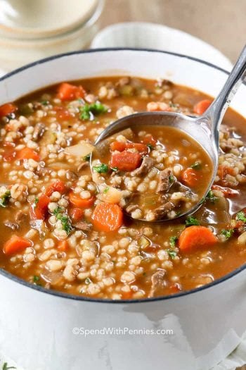 Easy Hamburger Soup  Spend With Pennies