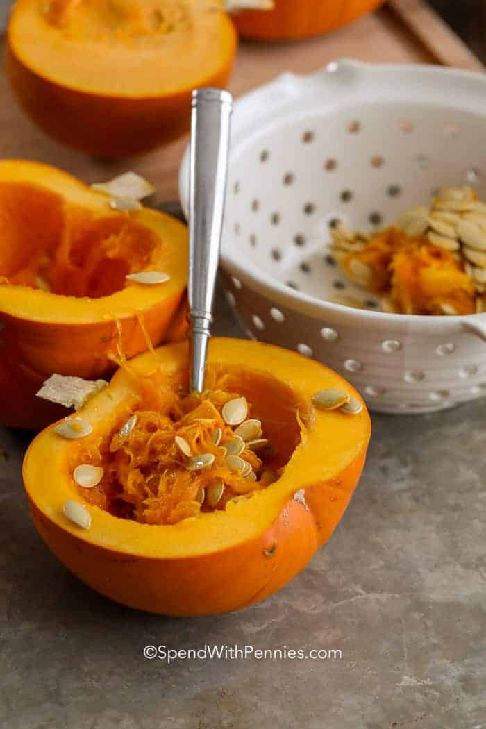 roasted pumpkin seeds spend with pennies