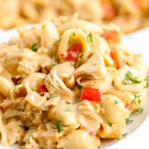 Cheesy Chicken Casserole on a white plate