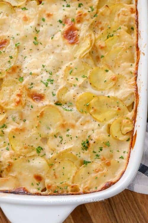 Scalloped Potatoes - Spend With Pennies