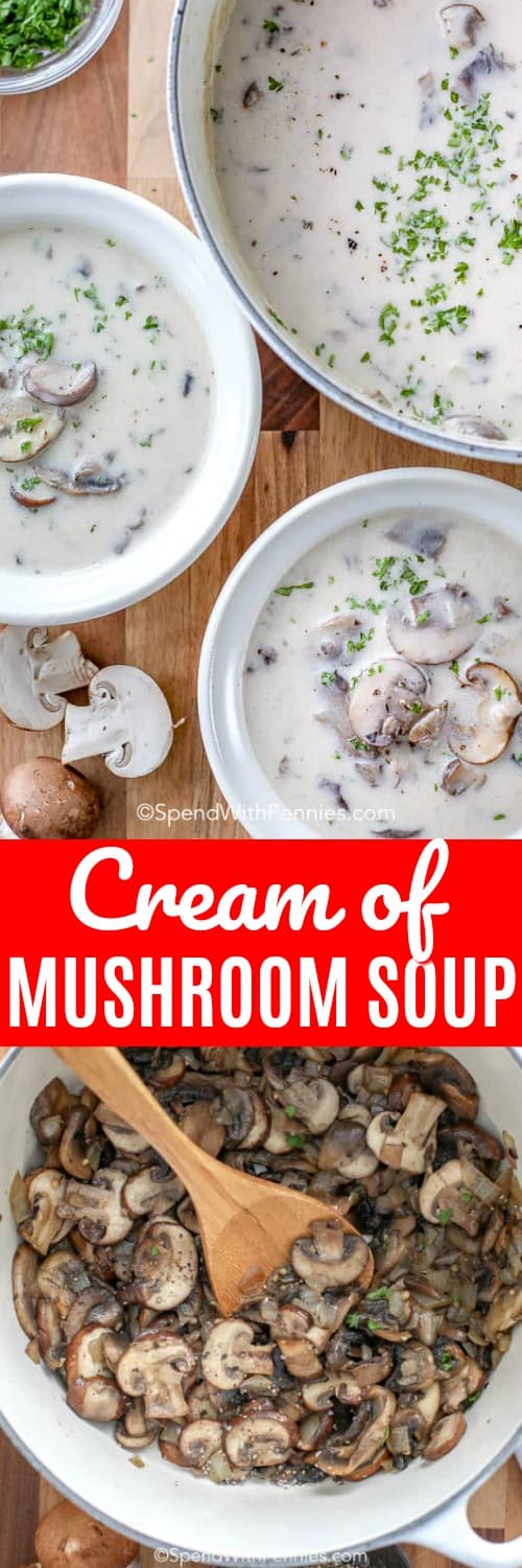 Cream of Mushroom Soup - Spend With Pennies