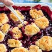 Scoop of blackberry cobbler from baking dish