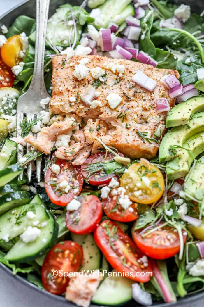 Avocado Salmon Salad with salmon, tomatoes, cucumbers and cheese and a fork in the salad