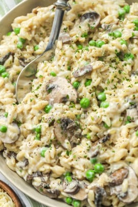 Creamy mushroom orzo with parsley on top with a metal spoon