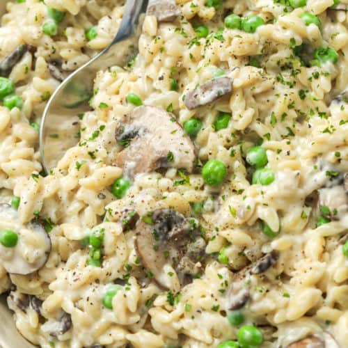 Creamy mushroom orzo with parsley on top with a metal spoon