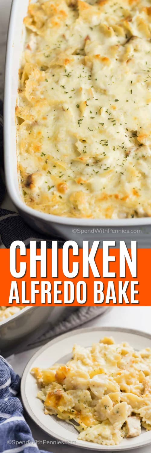 Chicken Alfredo Bake {Great Freezer Dish!} Spend With Pennies