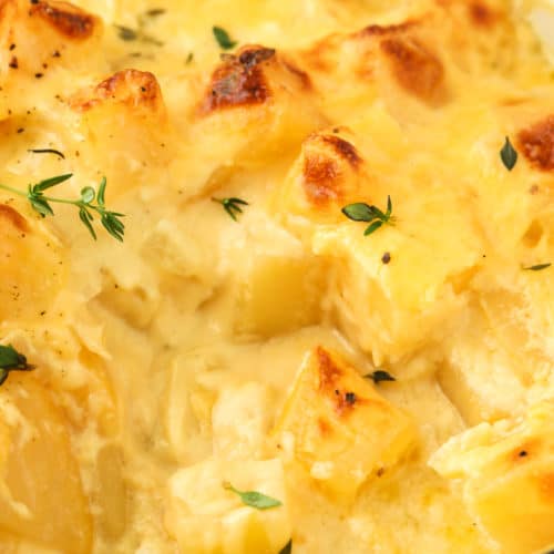 Rutabaga Gratin in a casserole dish