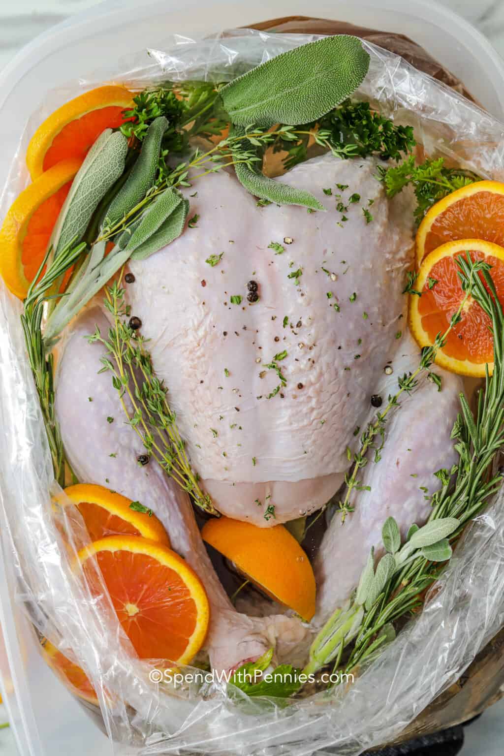 Easy Turkey Brine Spend With Pennies