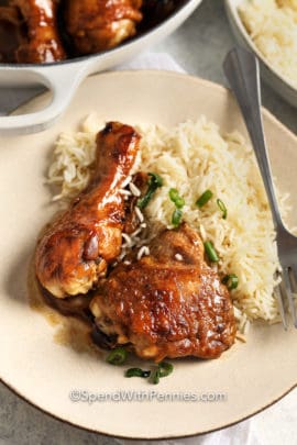 Chicken Adobo with rice and green onion
