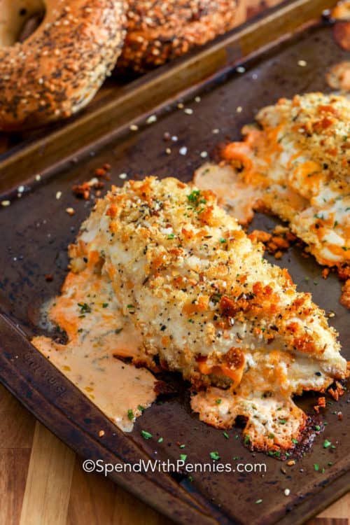 Chicken Cream Cheese Cream of Chicken Soup Dip Lascelles Odearme