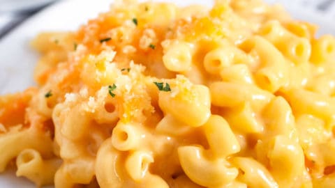 easy mac and cheese recipe allrecipes easy mac and cheese recipe allrecipes