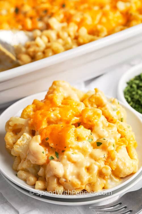 Baked Cauliflower Mac and Cheese Spend With Pennies