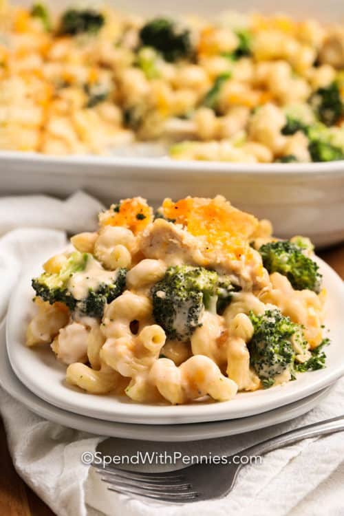 Chicken Broccoli Casserole {with Alfredo Sauce} Spend With Pennies