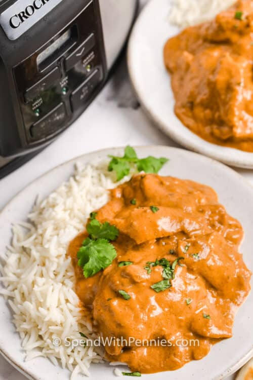 Slow Cooker Butter Chicken {With Fresh Spices!} Spend With Pennies