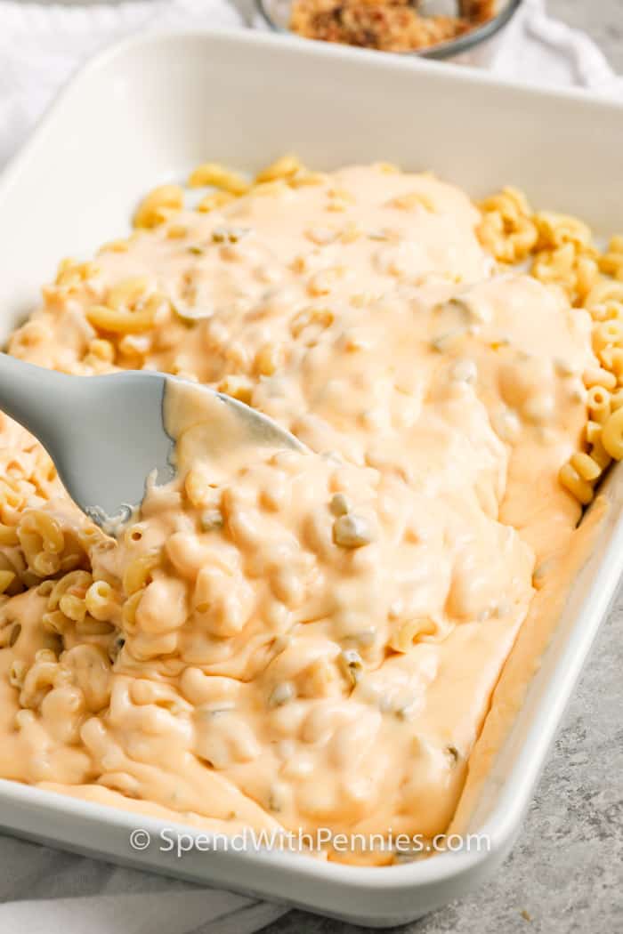 jalapeno mac and cheese with cheese sauce on top