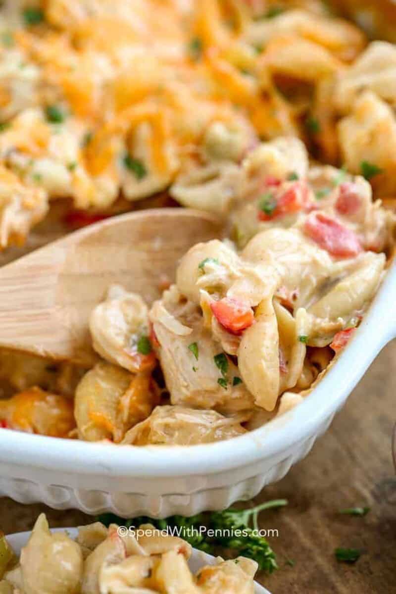 a spoon of cheesy chicken casserole