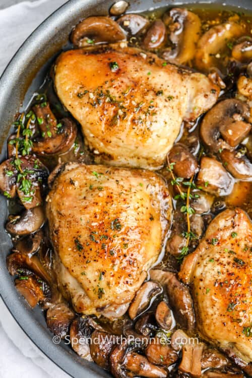 Braised Chicken Thighs with Mushrooms {So Tasty!} Spend With Pennies