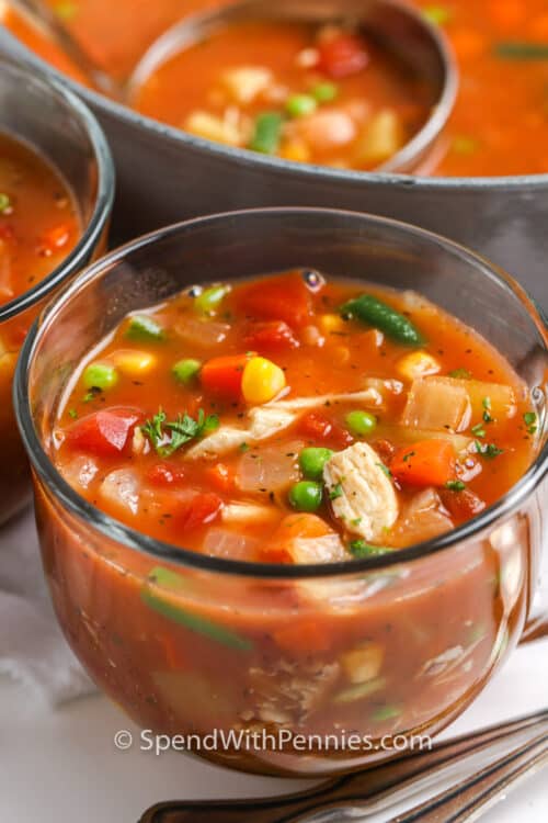 Chicken Vegetable Soup {Easy & Healthy} Spend With Pennies