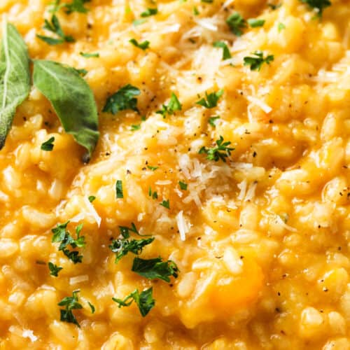 close up of Butternut Squash Risotto