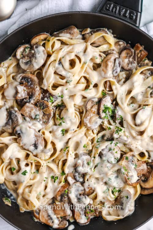 Creamy Mushroom Tagliatelle {Quick & Easy!} Spend With Pennies