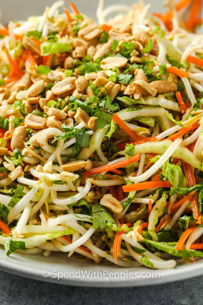 close up of Bean Sprout Salad with peanuts