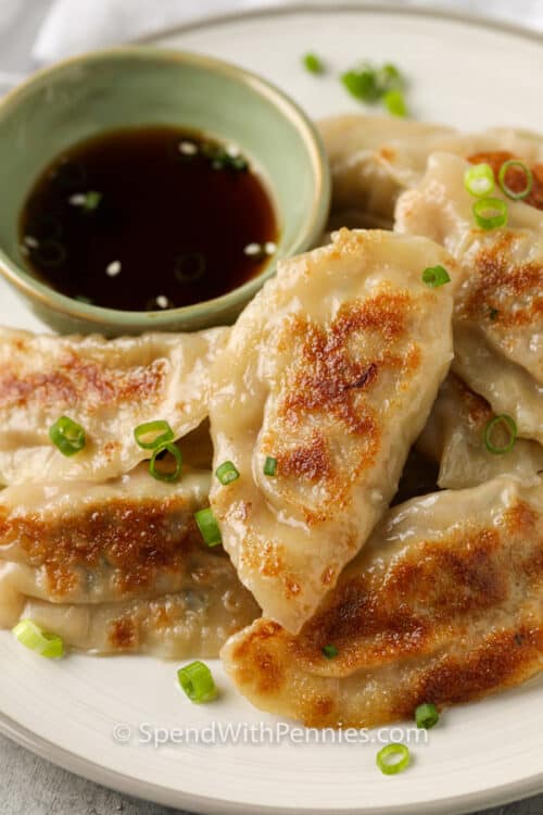 Pork dumplings step by step spend with pennies