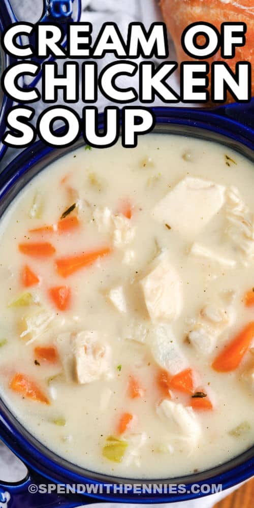 Homemade Cream of Chicken Soup (OnePot!) Spend With Pennies