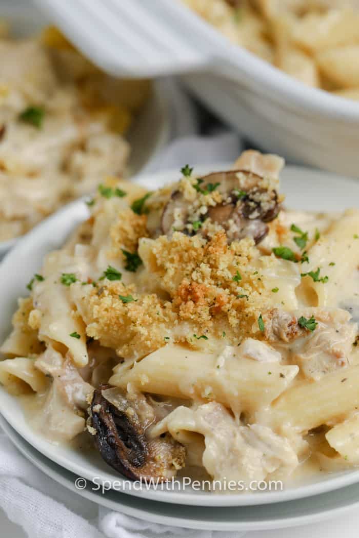 Turkey Casserole on a plate