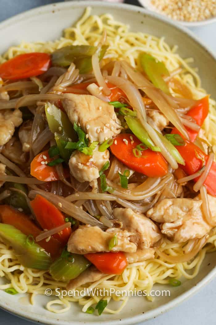 What Is The Difference Between Chop Suey And Subgum Chop Suey Bios Pics