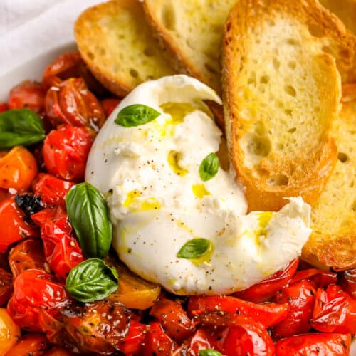 Burrata with Balsamic Tomatoes (So Flavorful!) Spend With Pennies