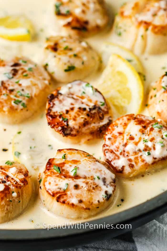 Scallops in Lemon Wine Sauce
