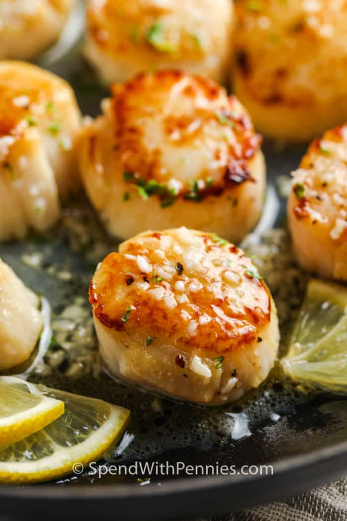 (Simple) Seared Scallops in the pot with lemons