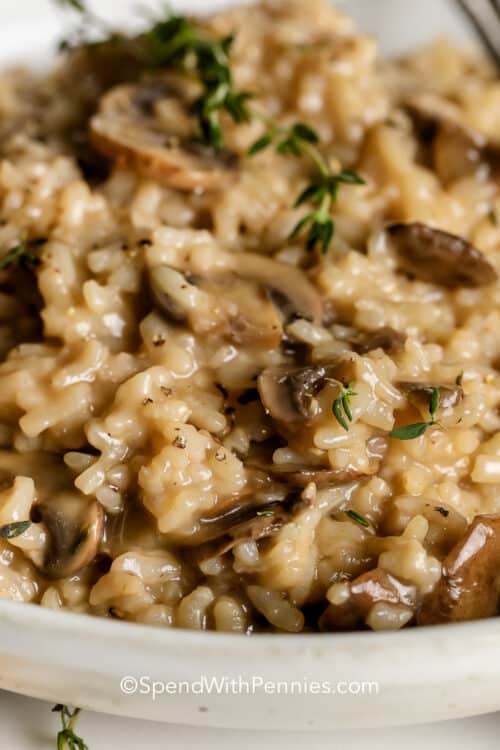 Main Dishes Collection Page 23 of 60 Spend With Pennies