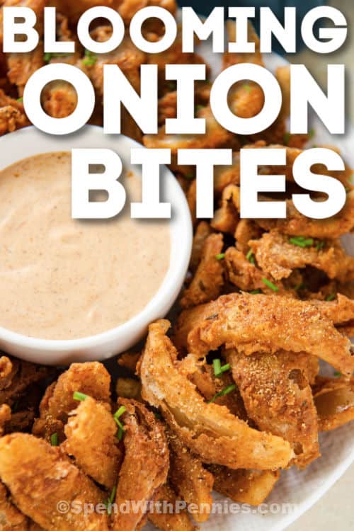 Blooming onions can be made right at home with ease! Make them on the stovetop, in the oven, or use the Air Fryer. Don't forget the dip! #spendwithpennies #bloomingonion #recipe #appetizer #airfryer #easy #best #homemade #mini #deepfried plated Blooming Onion Bites with dip and writing