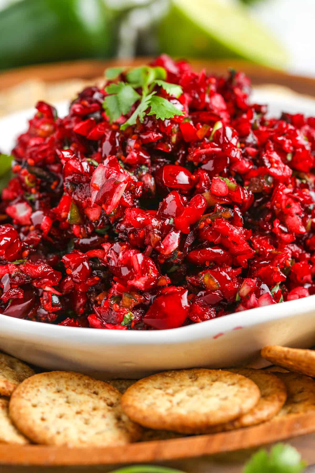Cranberry Salsa