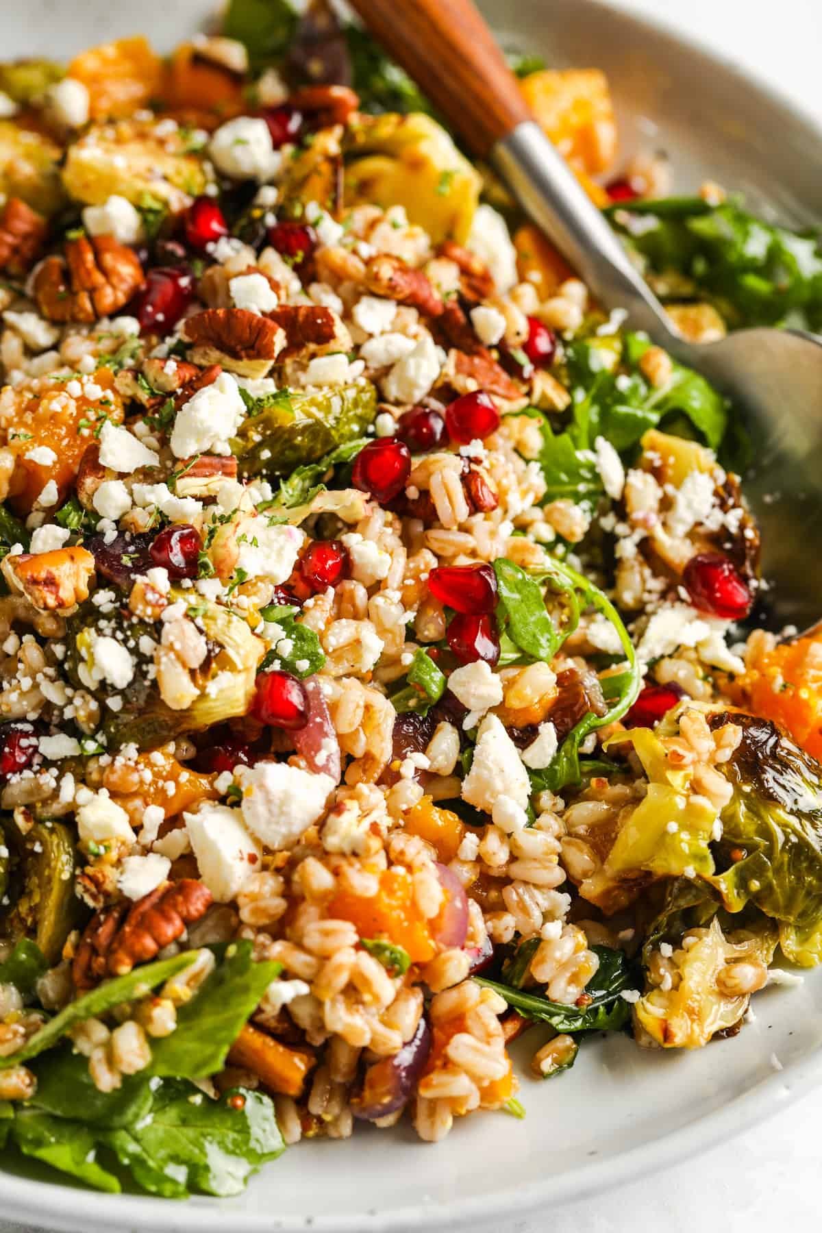 Harvest Farro Salad